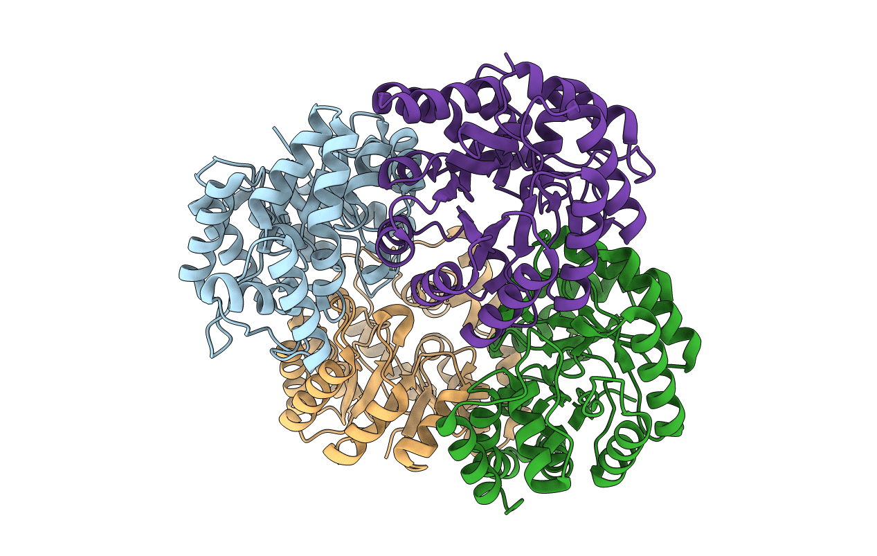 4I7V image