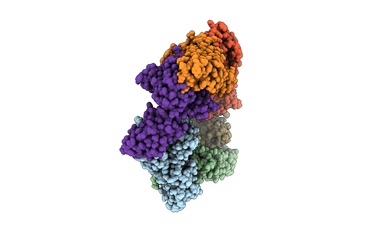 4I81 image