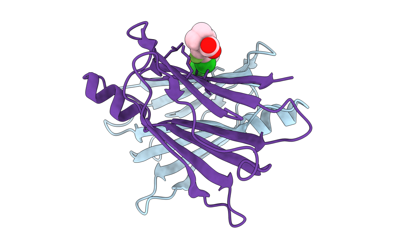 4I87 image