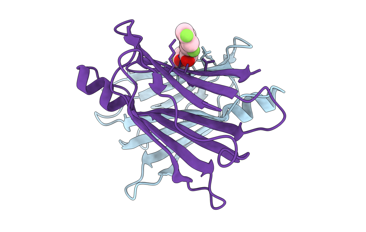 4I89 image