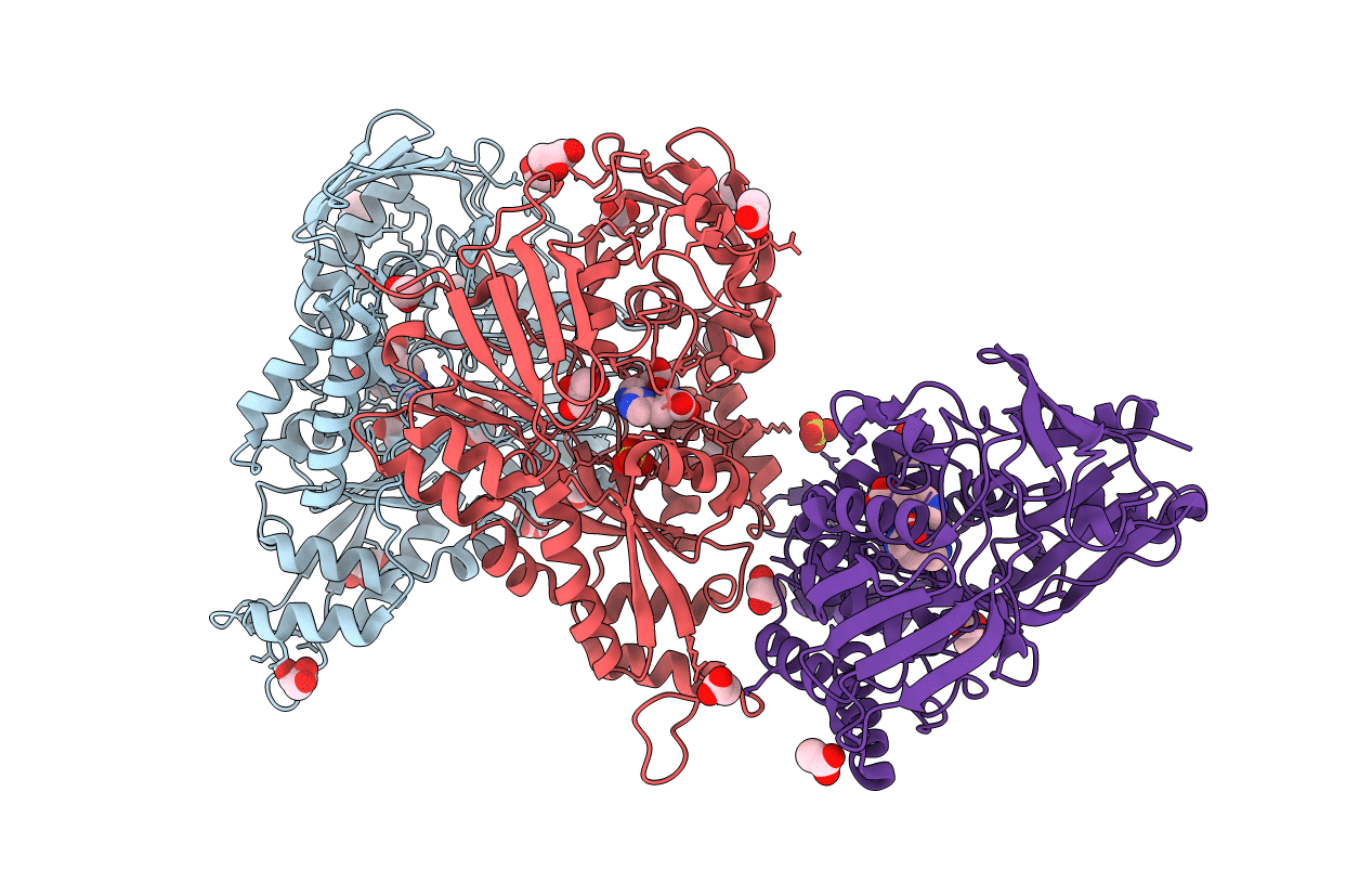 4I8C image