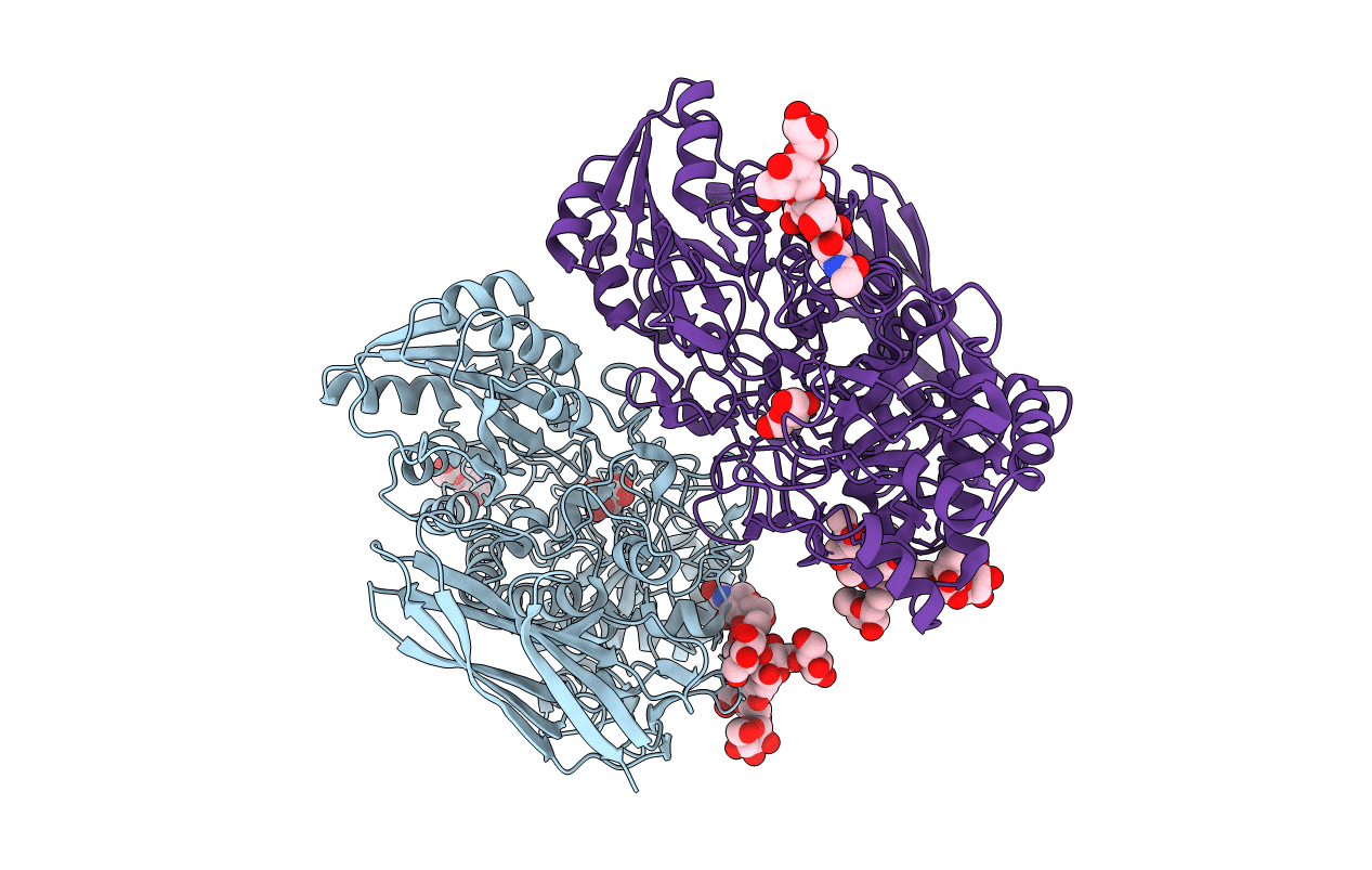 4I8D image