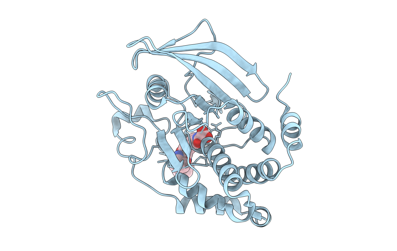 4I8N image