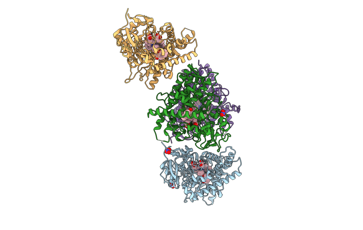 4I8V image
