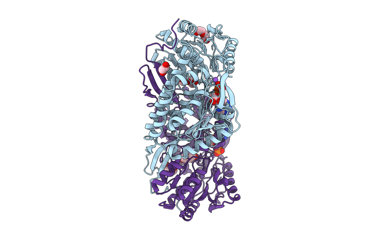 4I9B image