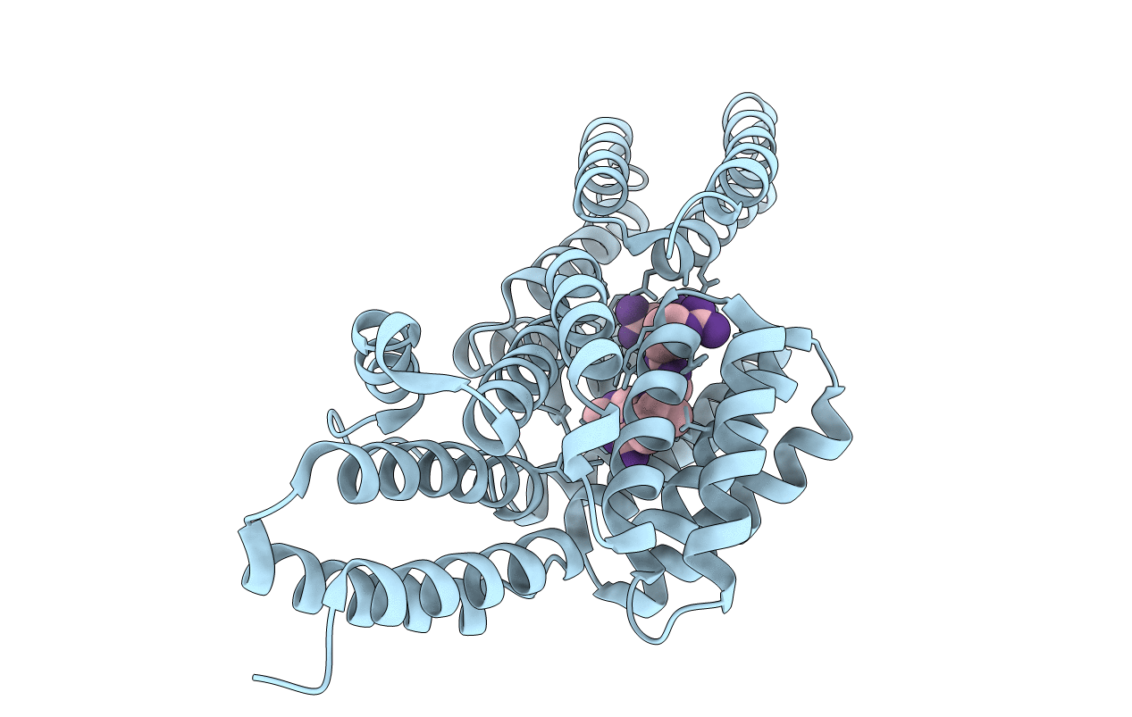 4I9C image