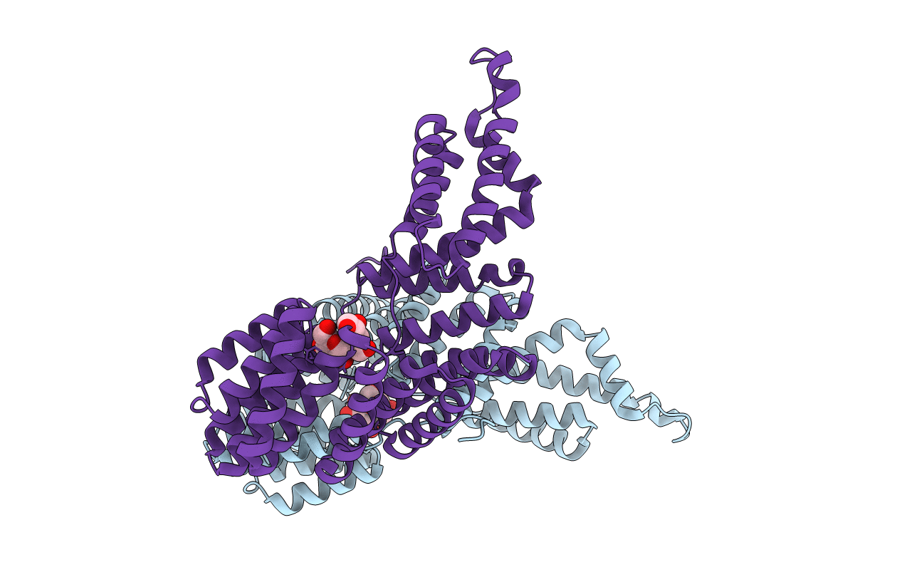 4I9E image