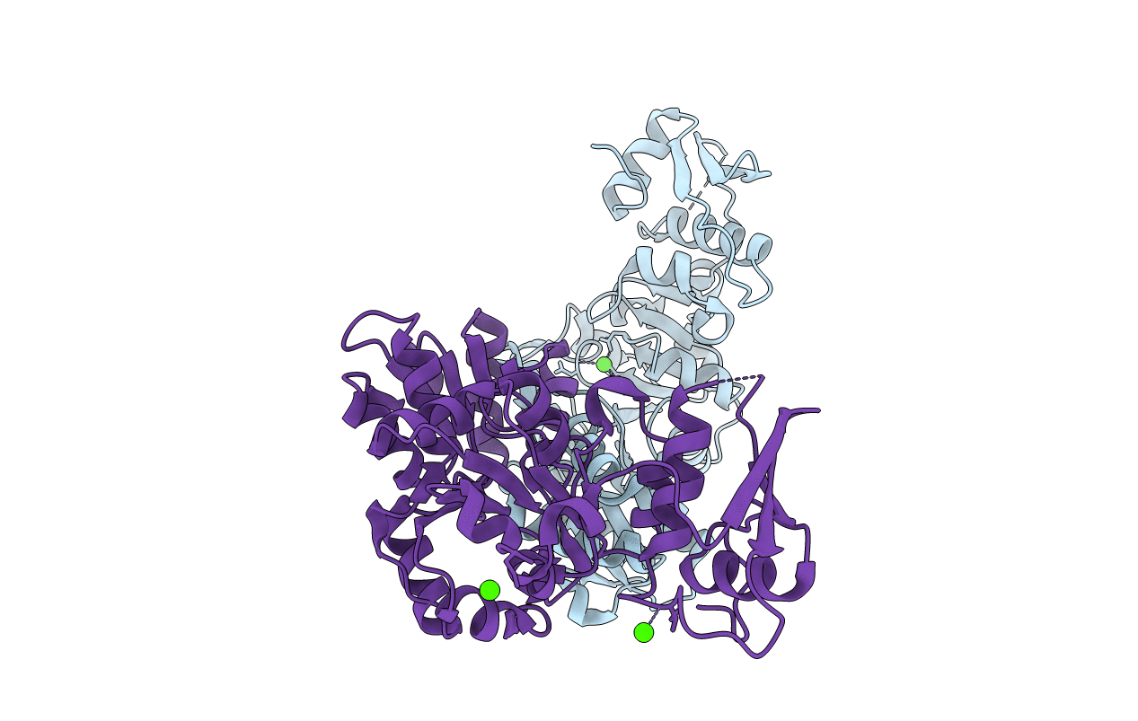 4I9F image