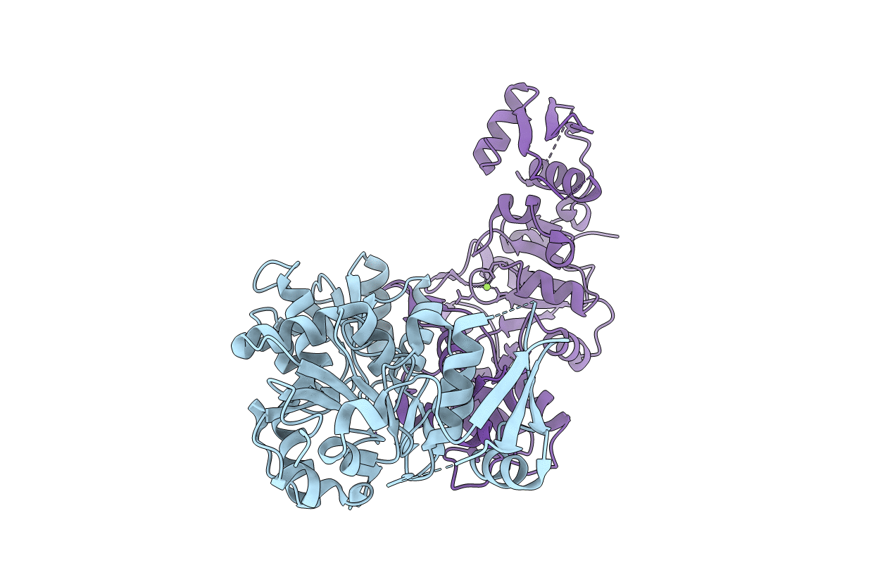 4I9G image