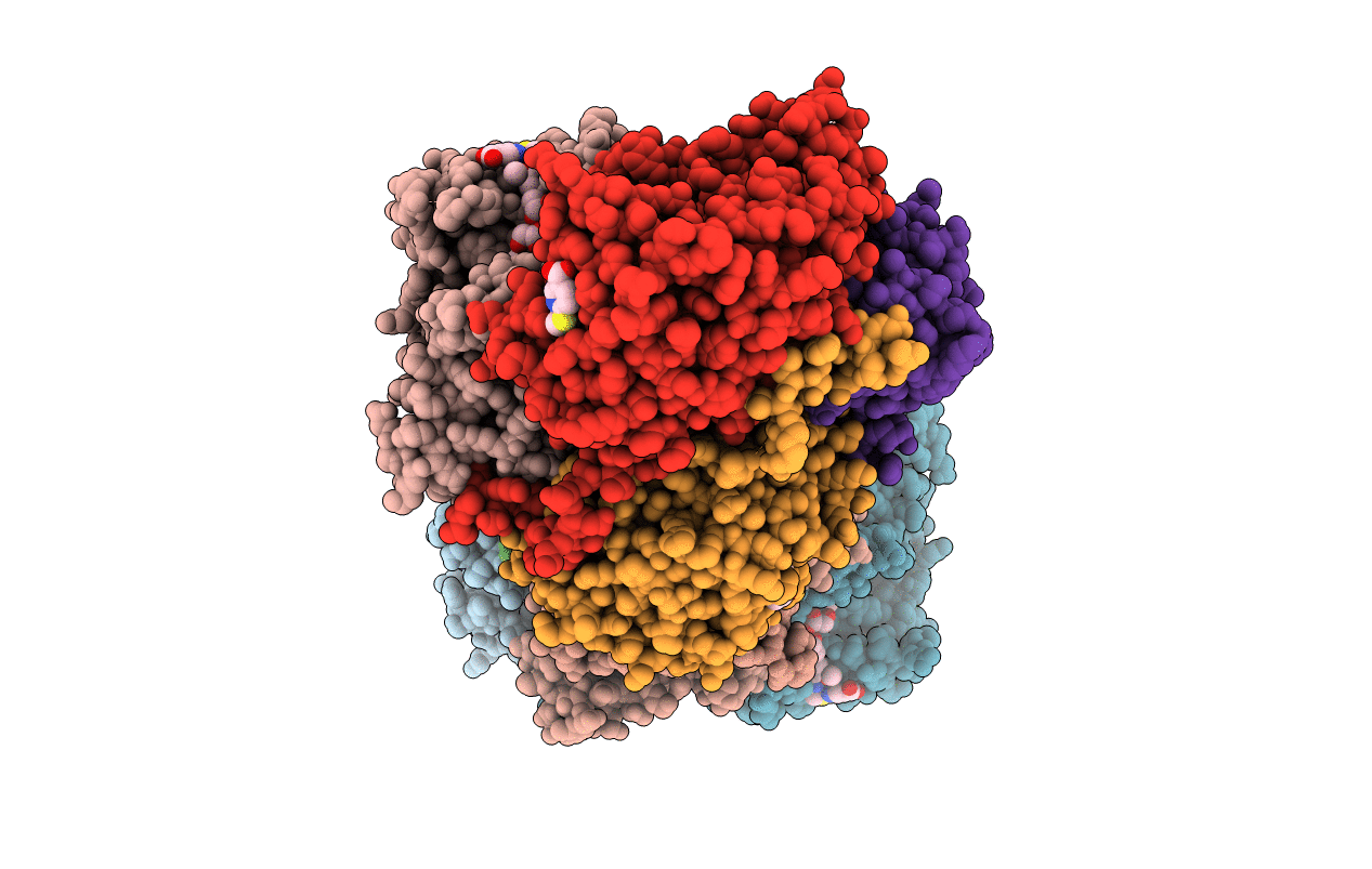 4I9N image