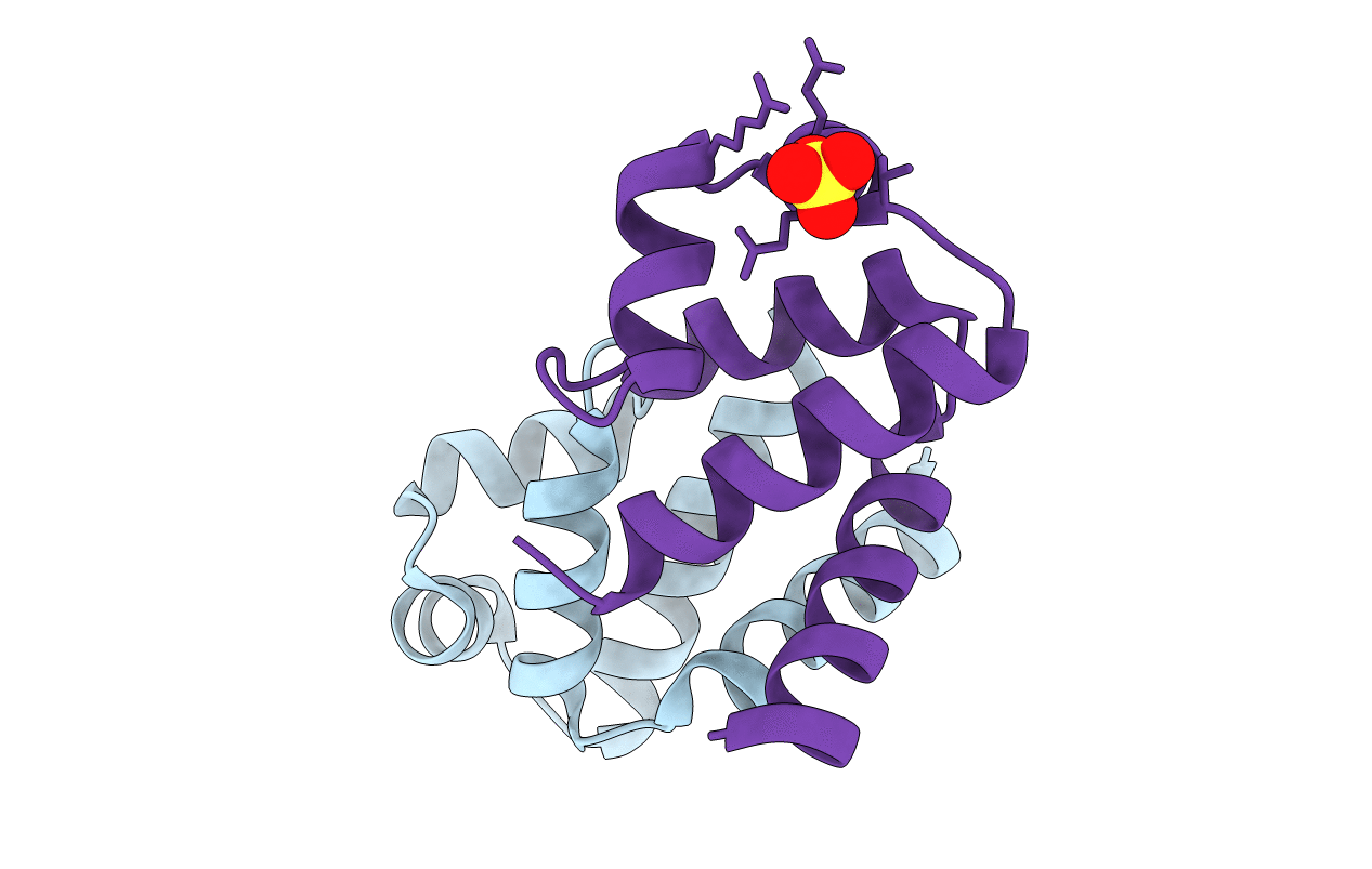 4IA8 image