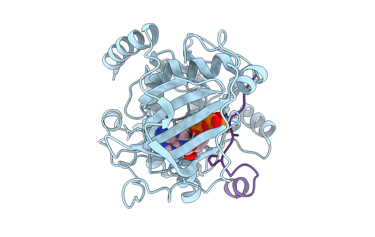 4IAC image