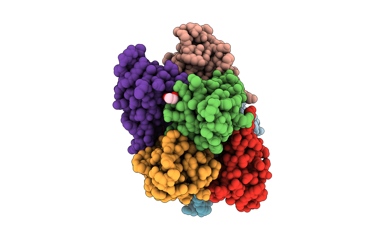 4IAJ image