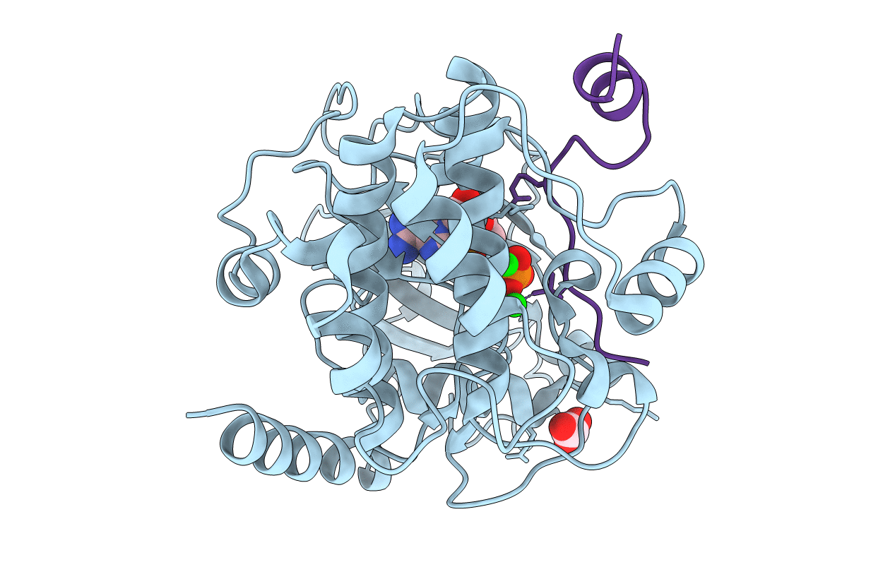4IAK image