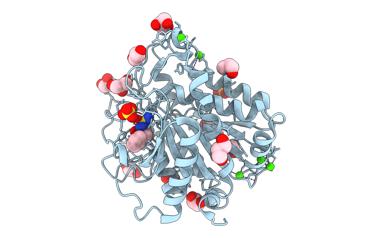 4IAV image