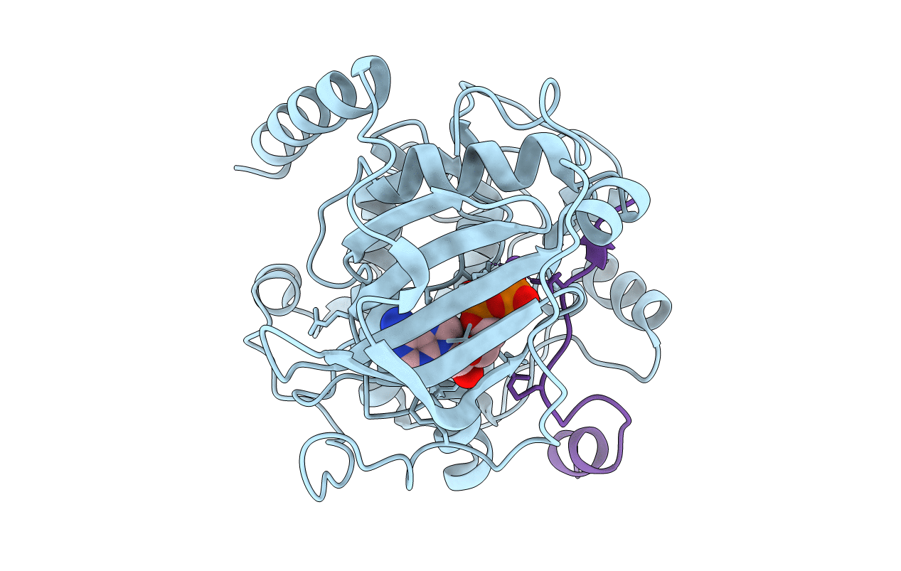 4IB0 image