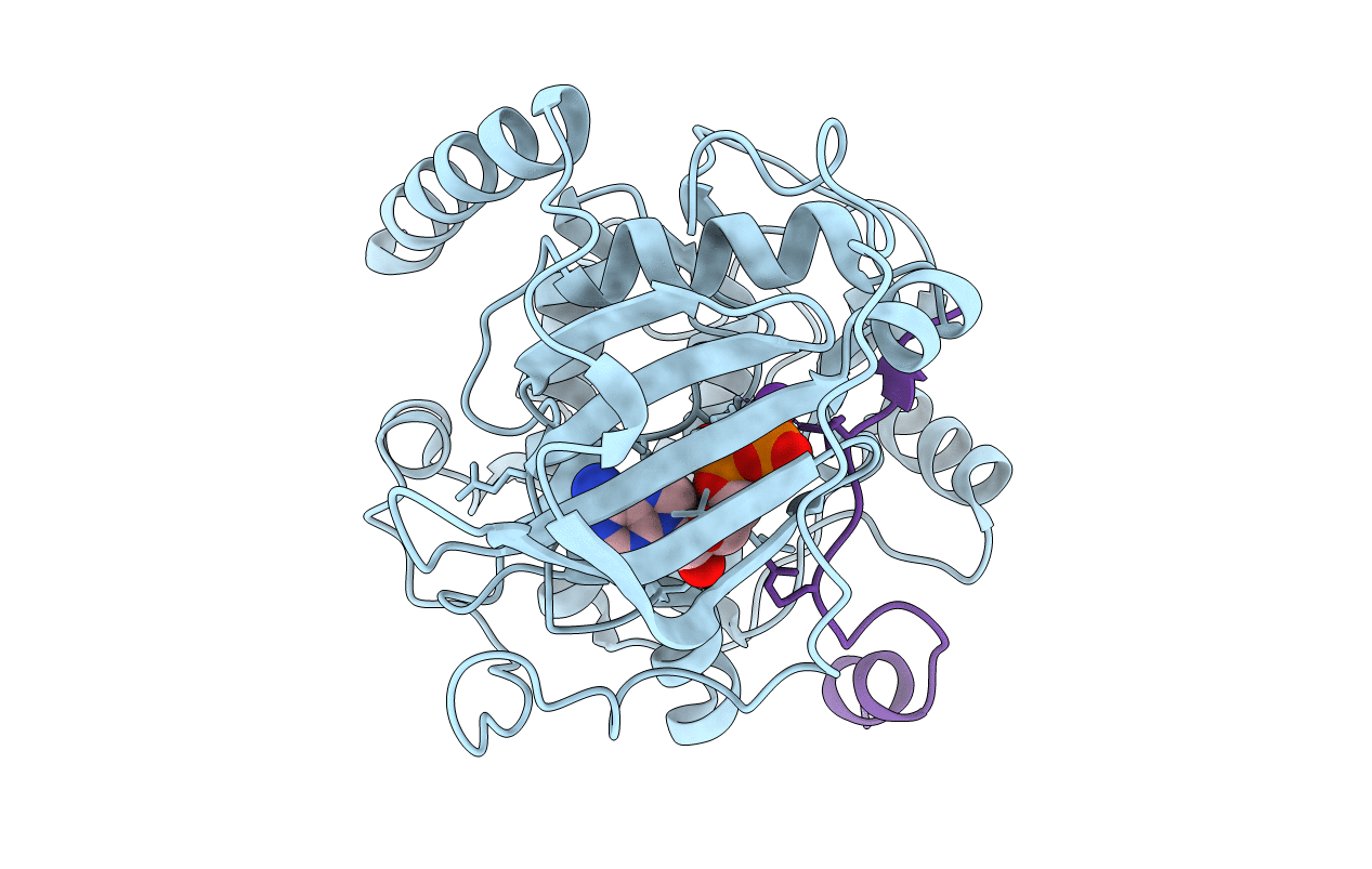 4IB1 image