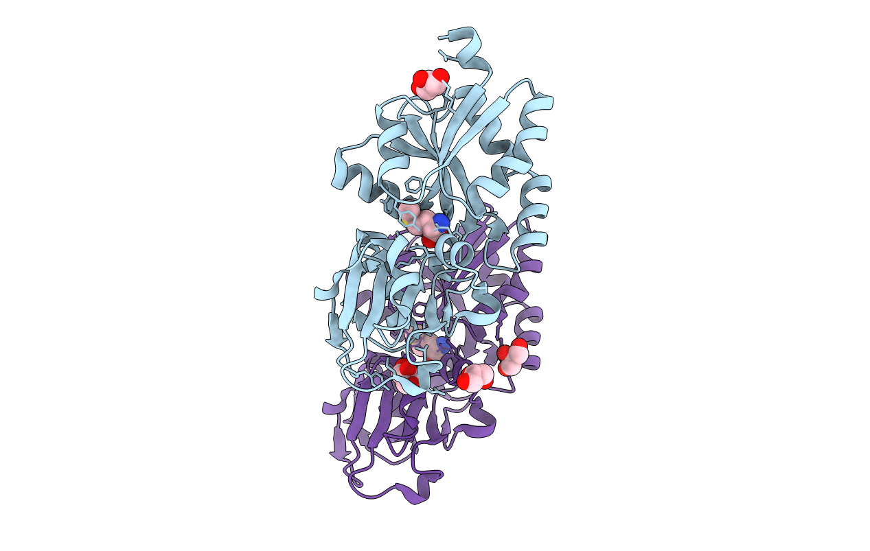 4IB2 image