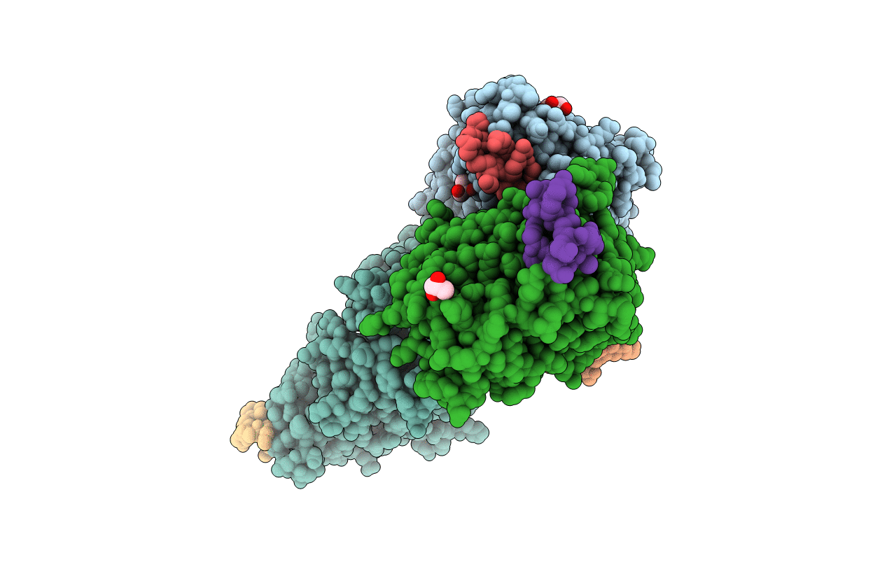 4IB5 image