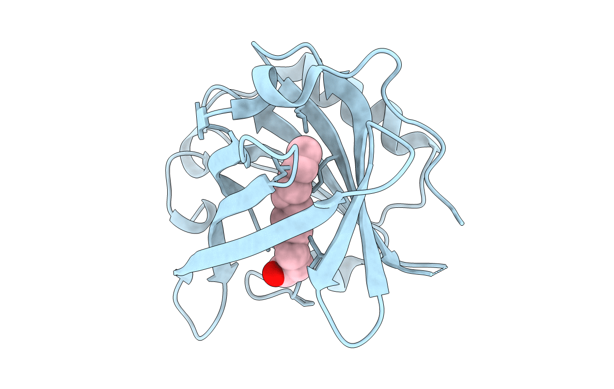4IB6 image