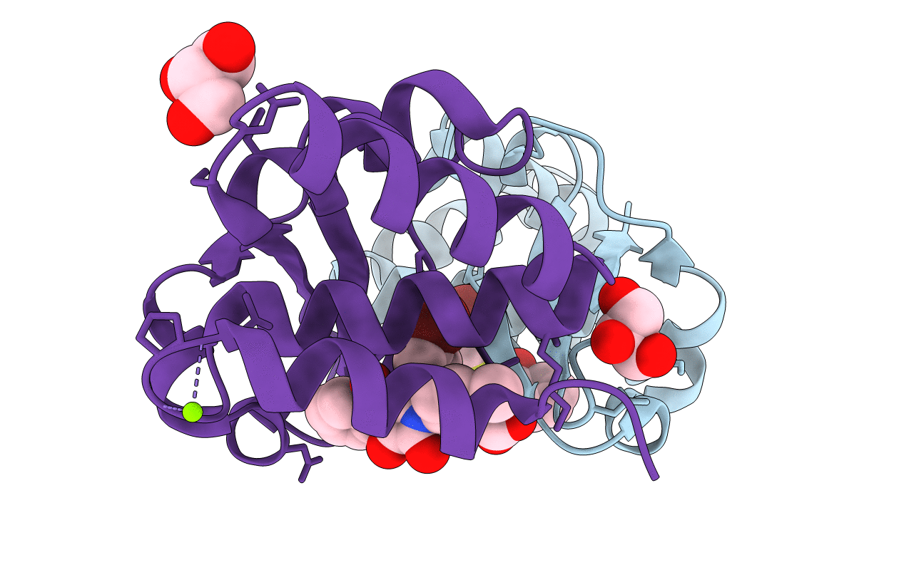 4IBD image