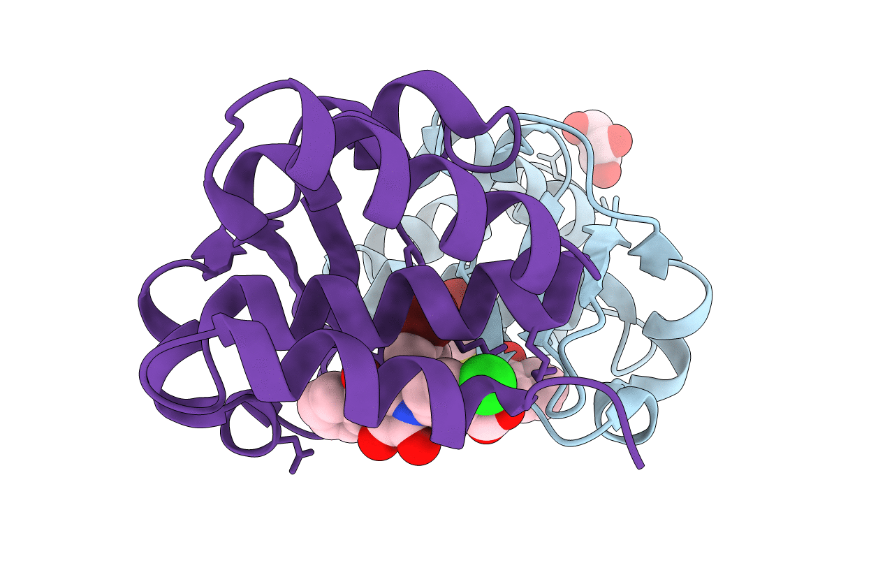 4IBE image