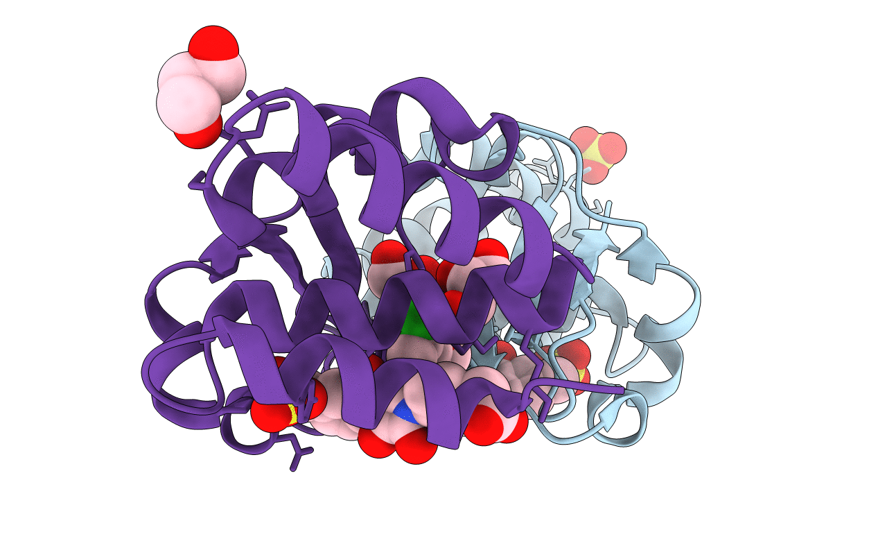 4IBG image