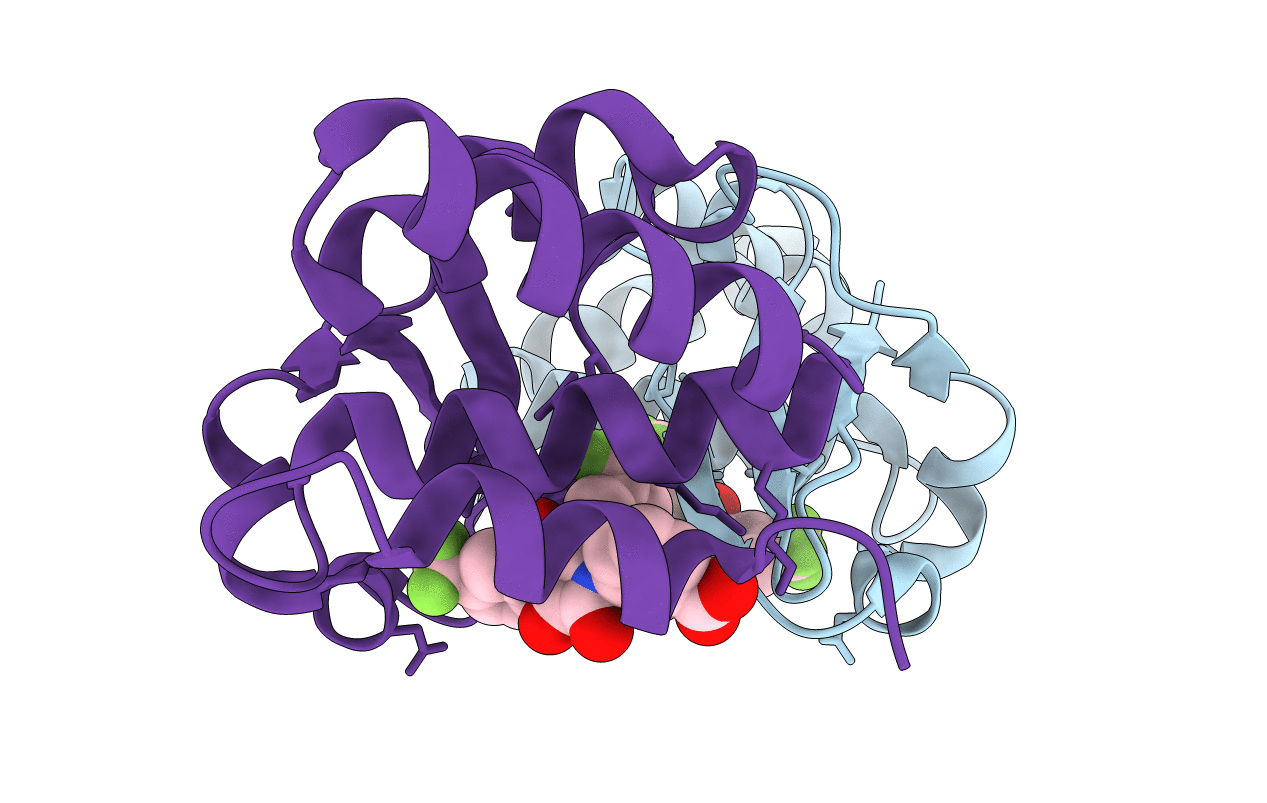 4IBJ image