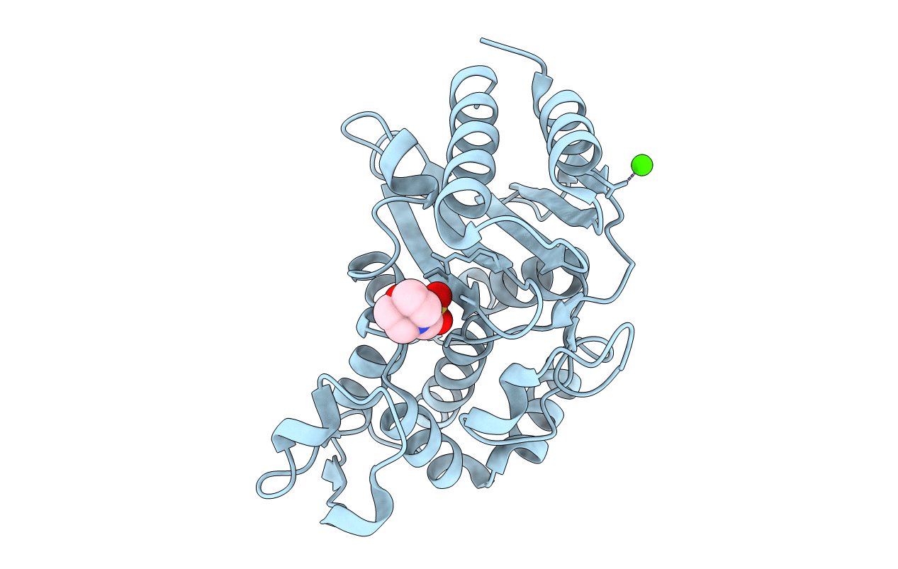4IBR image