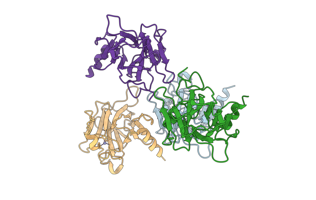 4IBT image