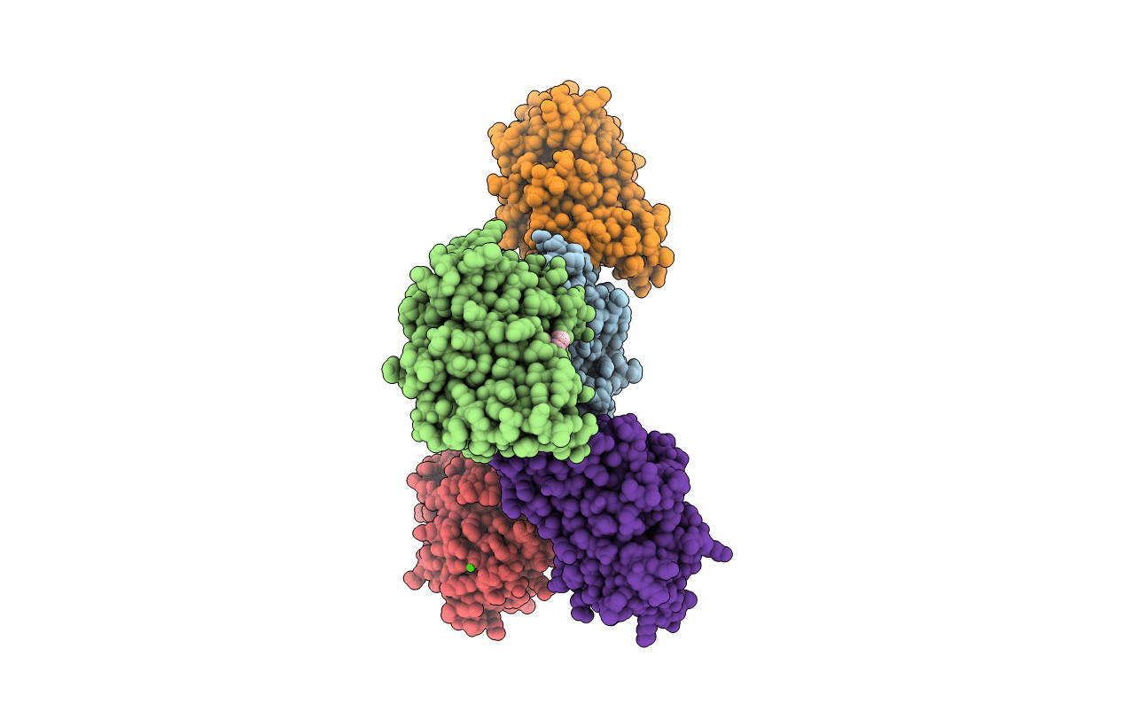 4IBX image