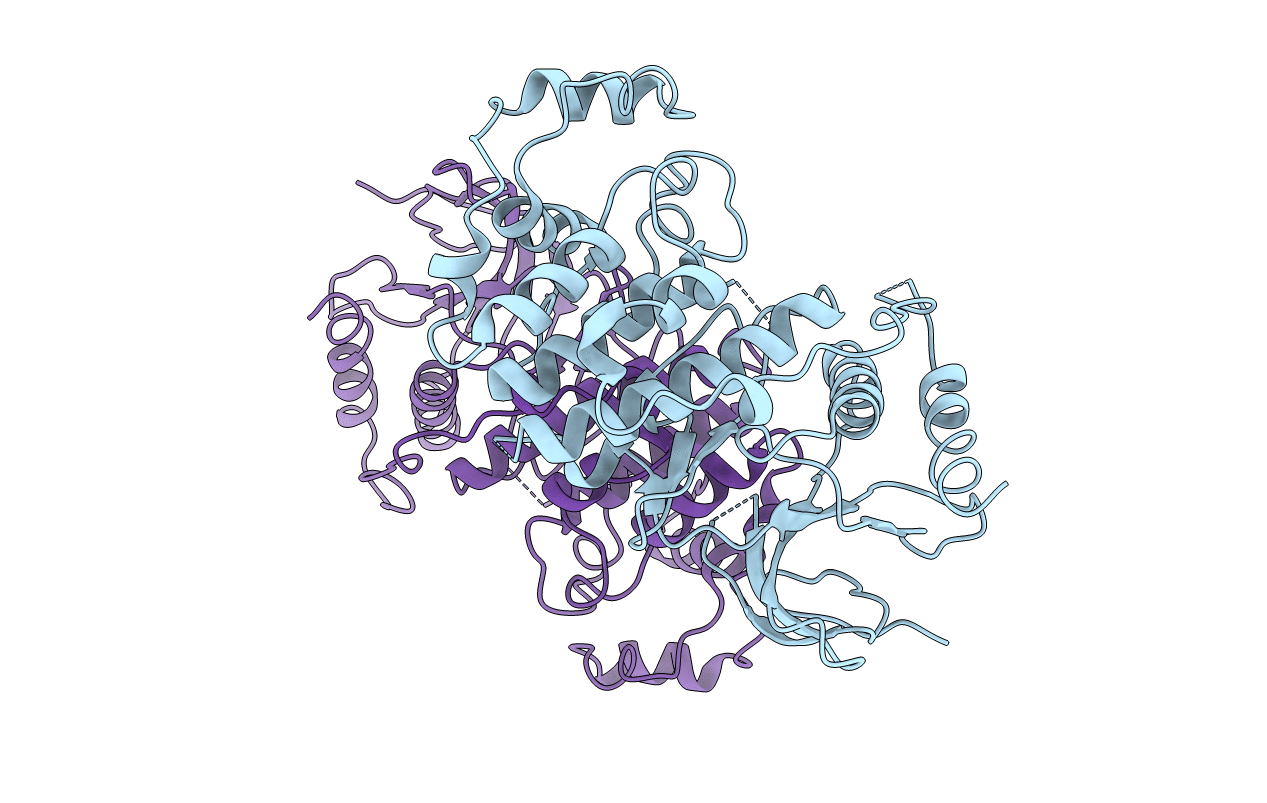 4IC8 image