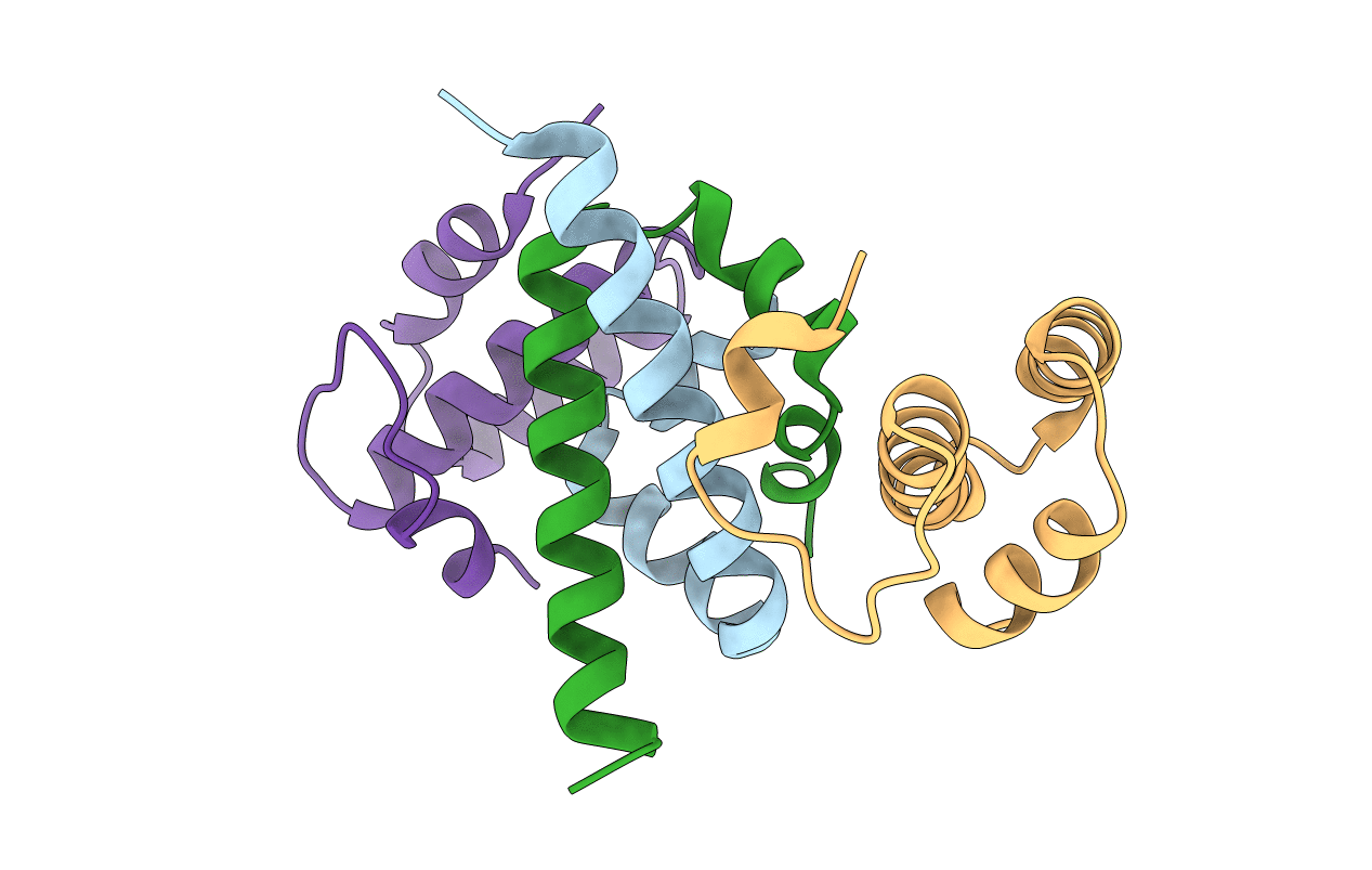 4ICG image