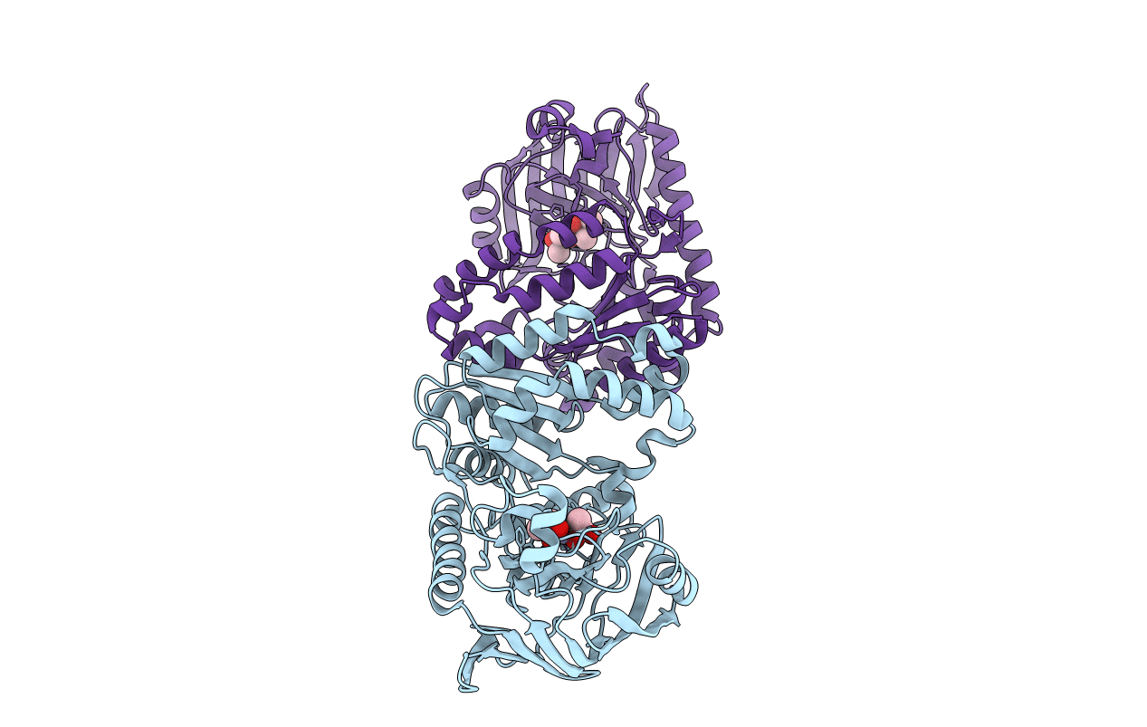 4ICR image