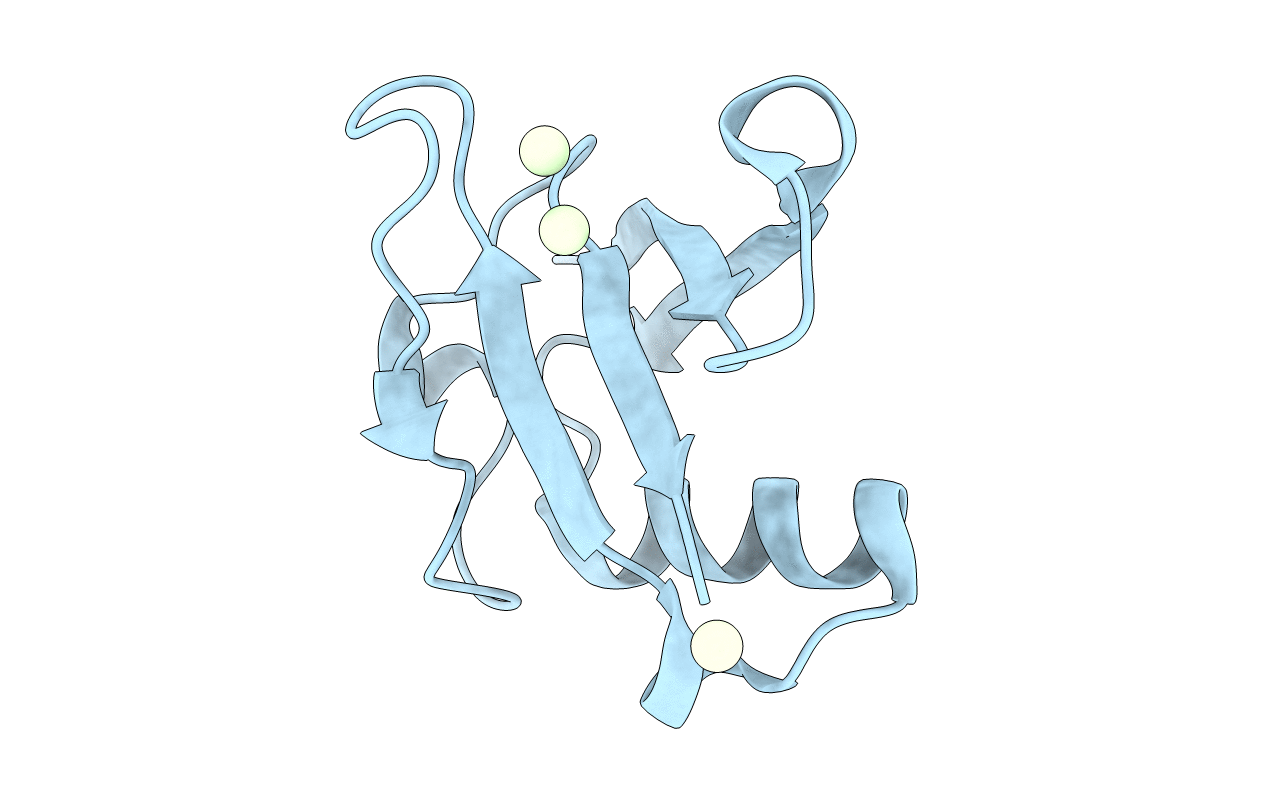 4ICV image
