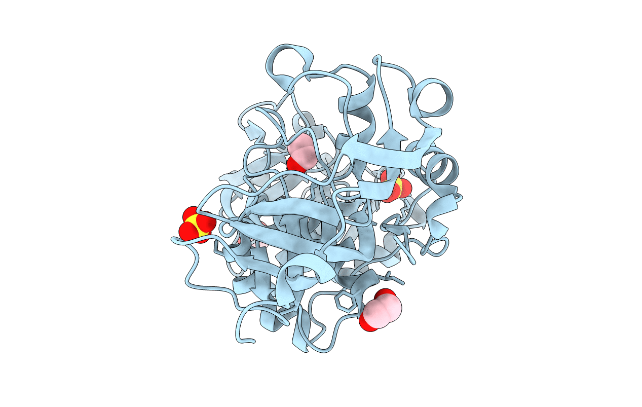 4IDA image