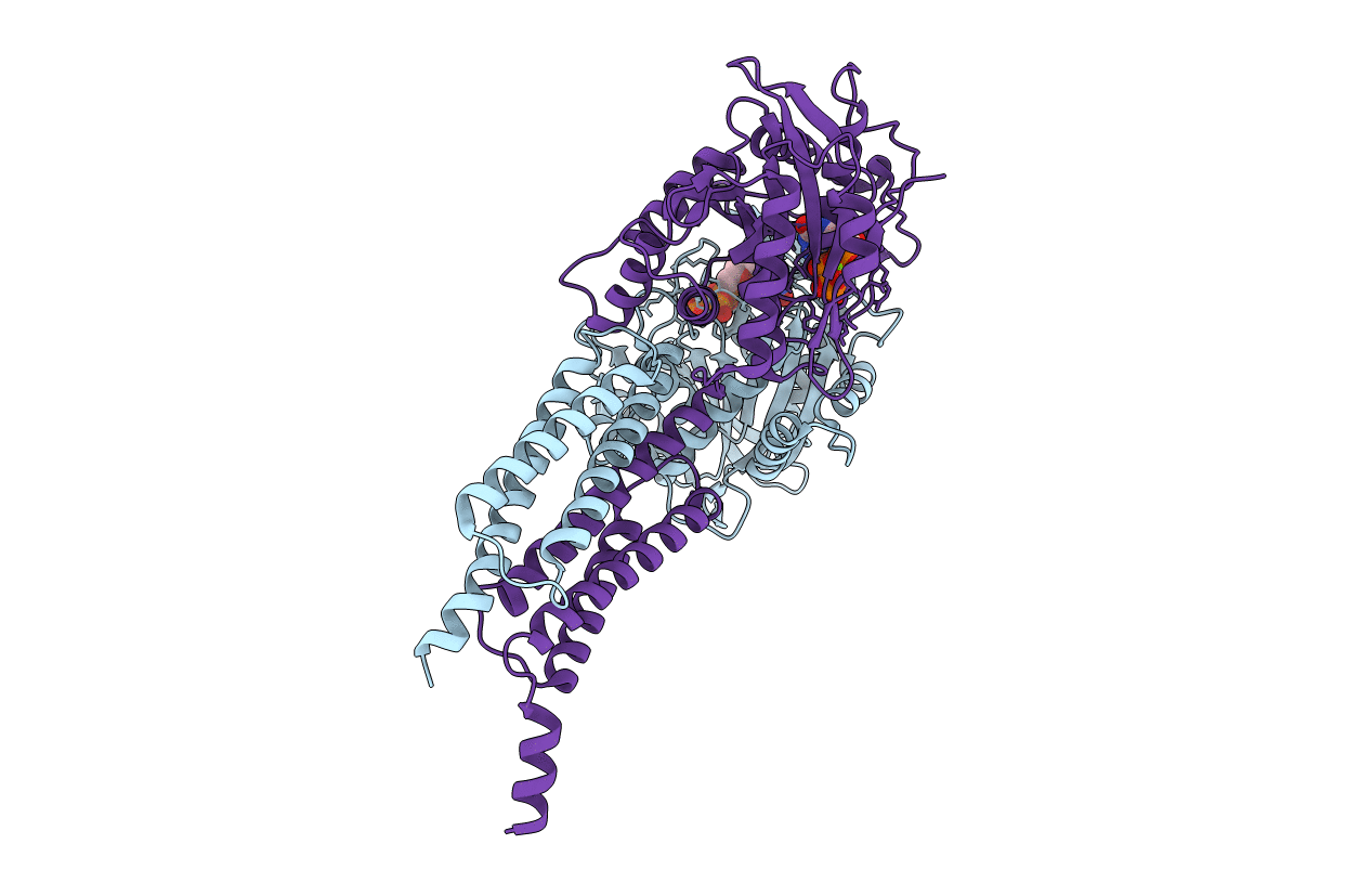 4IDN image