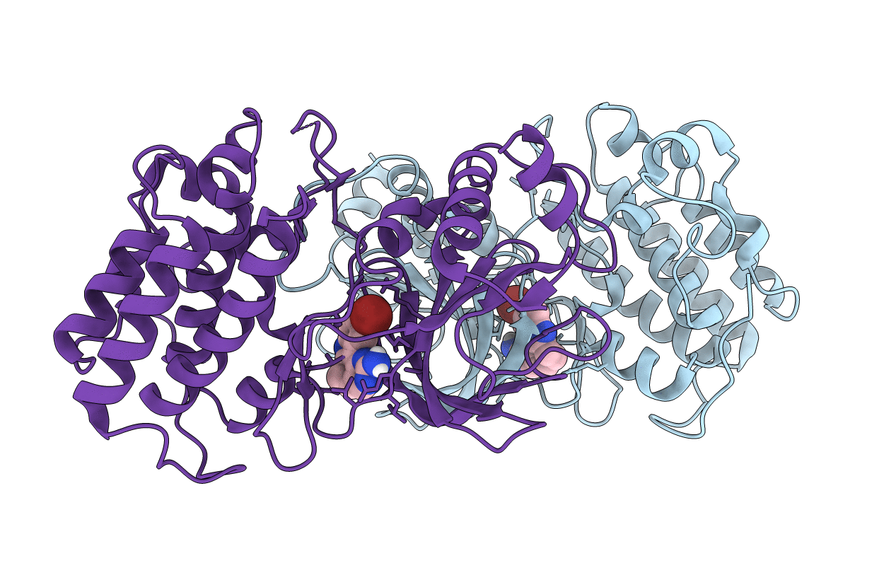 4IDT image