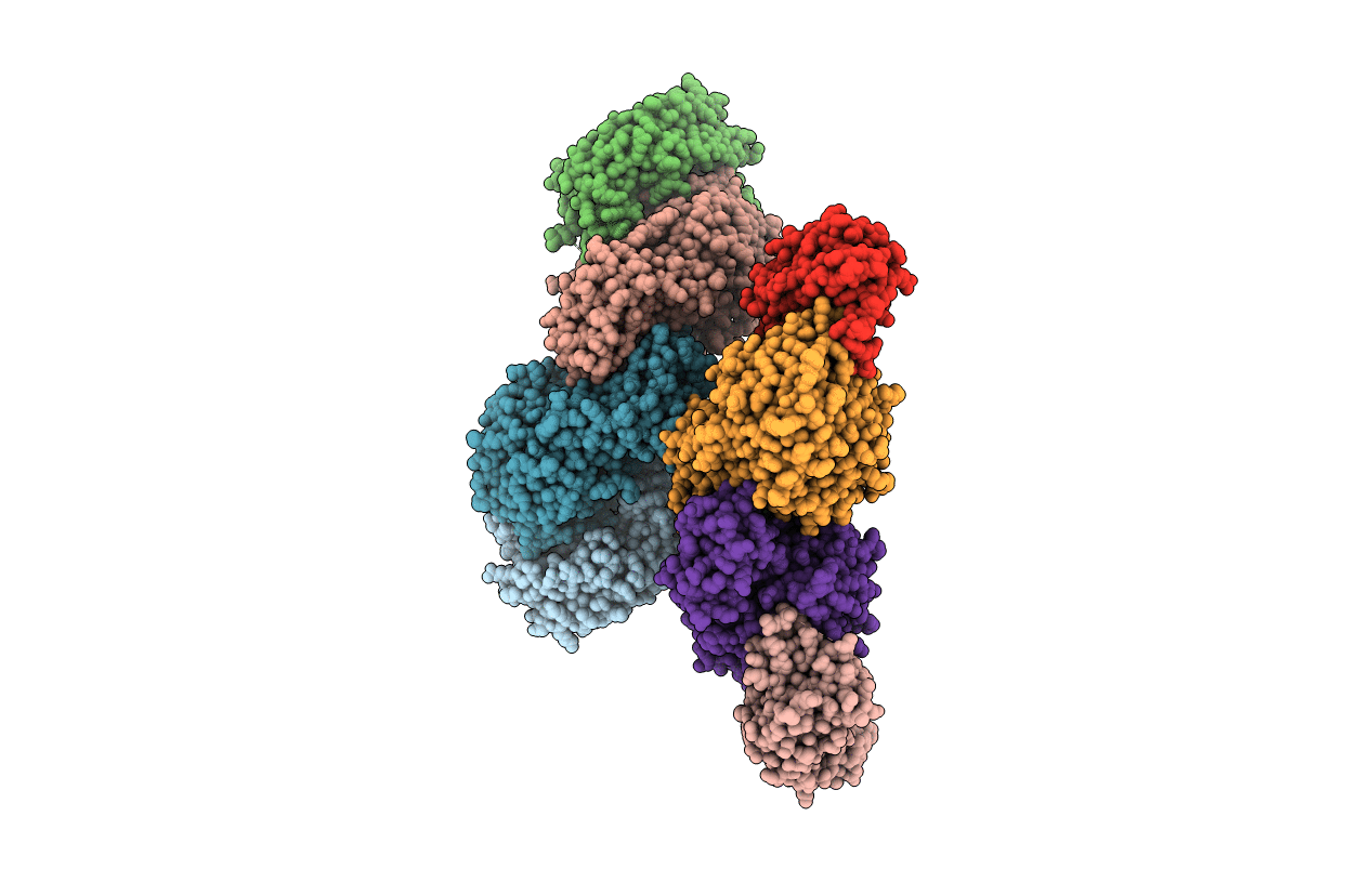 4IEF image