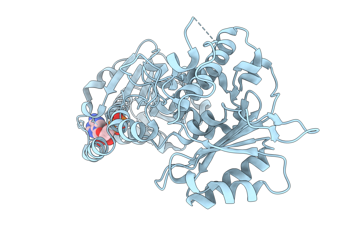 4IEI image