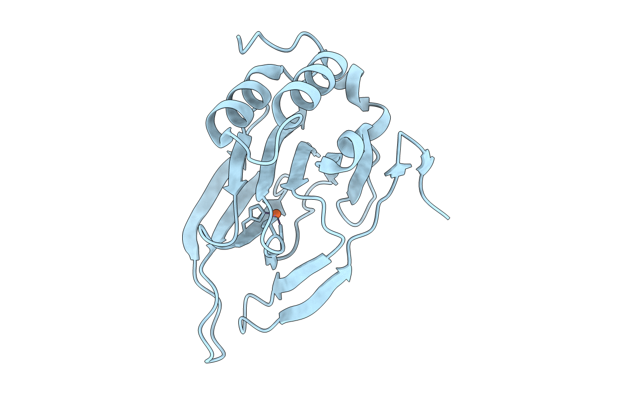 4IEP image