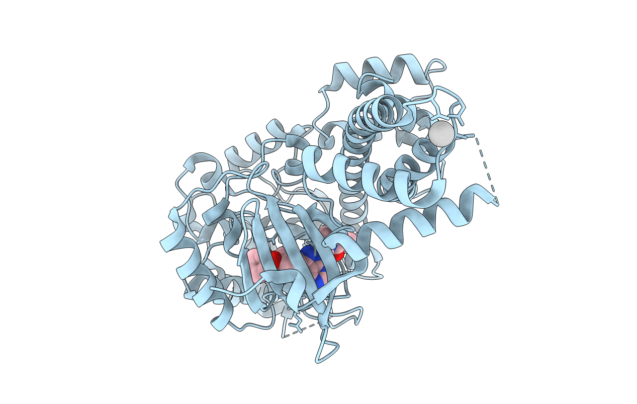 4IFG image