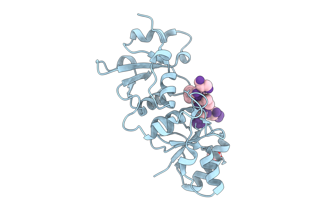4IFI image