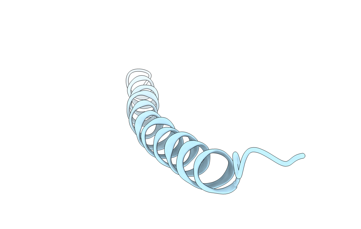 4IFM image