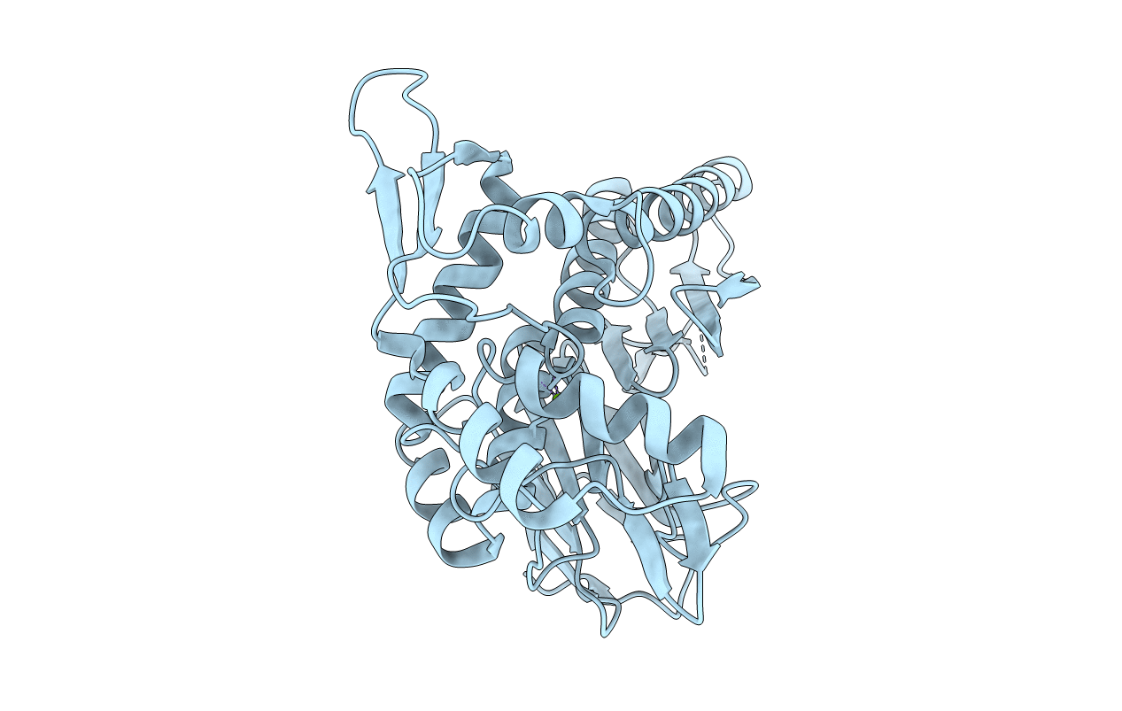 4IFU image