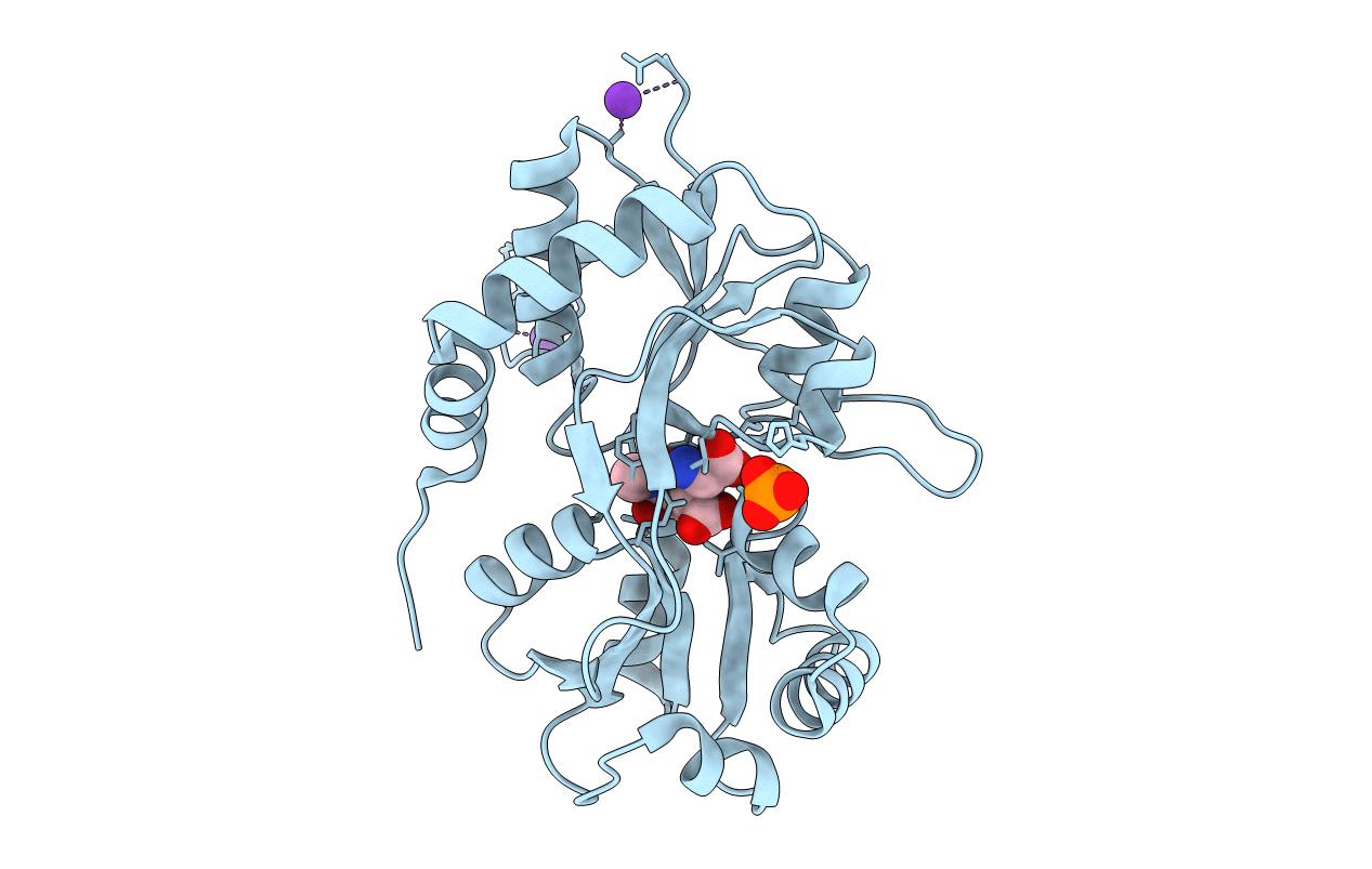 4IGR image