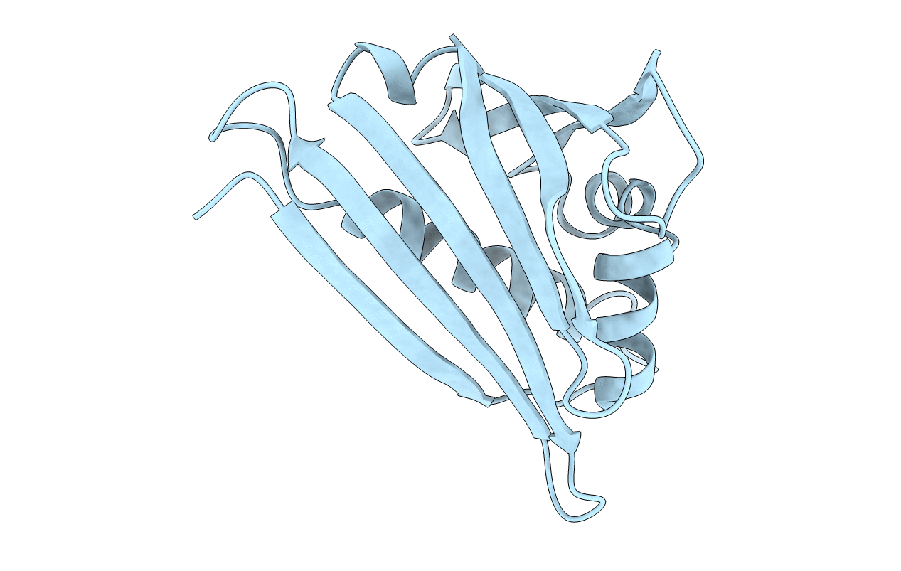 4IGV image