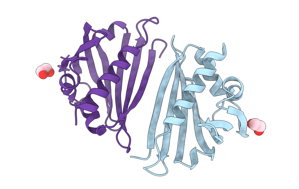 4IGW image