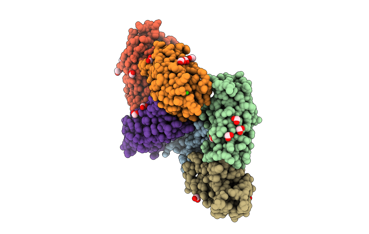 4IHB image
