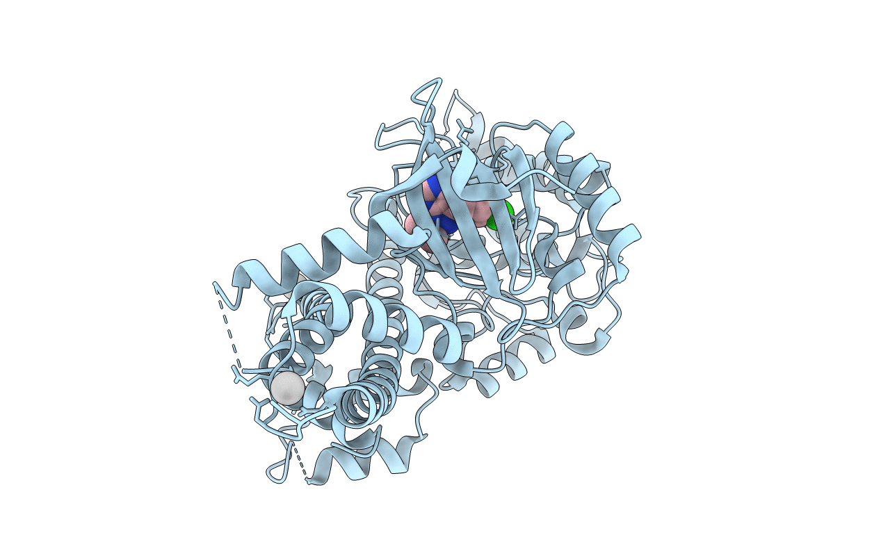 4IHP image